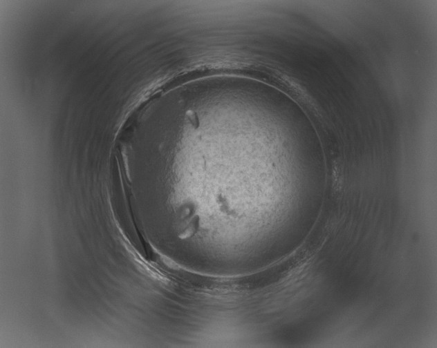 X0000054400725200508011322