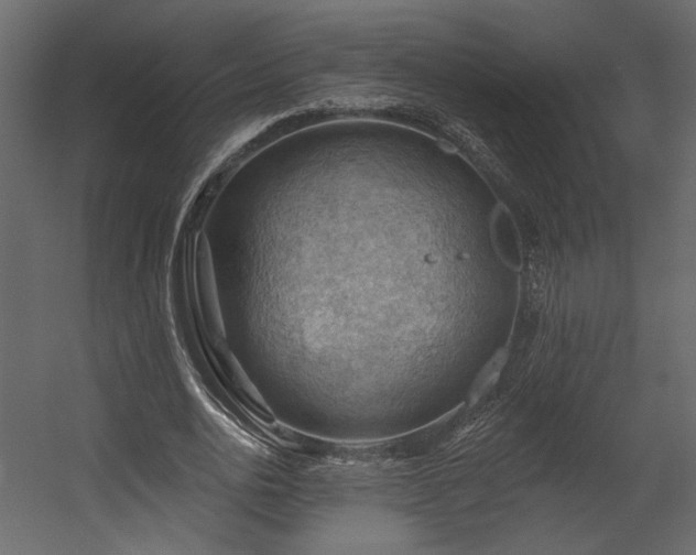 X0000054400726200508011322