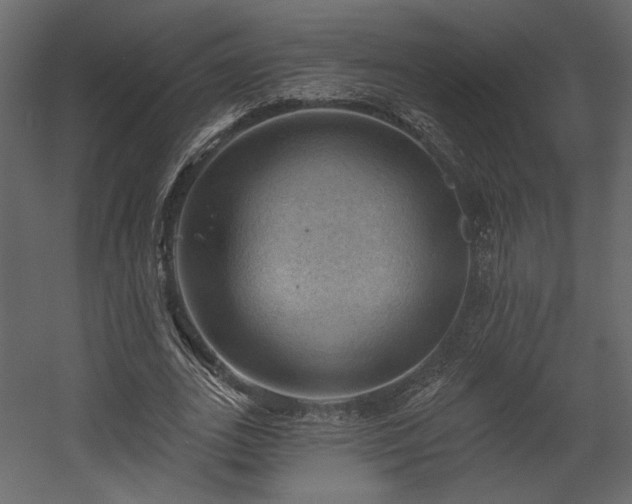 X0000054400727200508011322