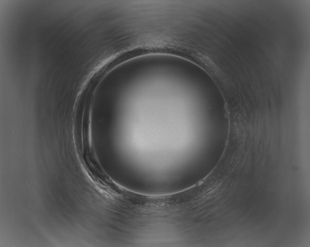 X0000054400728200508011322