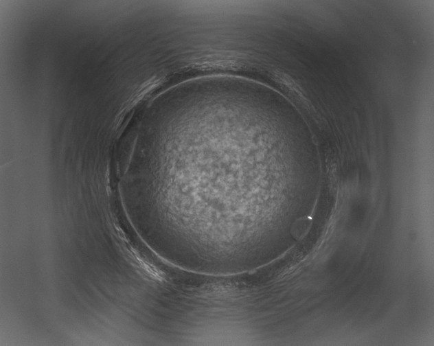 X0000054400729200508011322