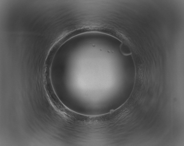 X0000054400730200508011322