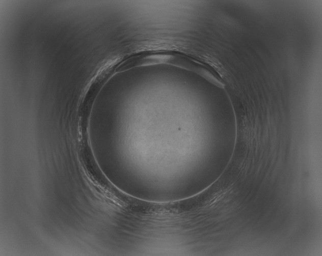 X0000054400731200508011322