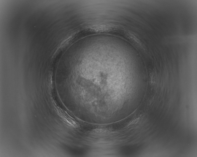 X0000054400733200508011322