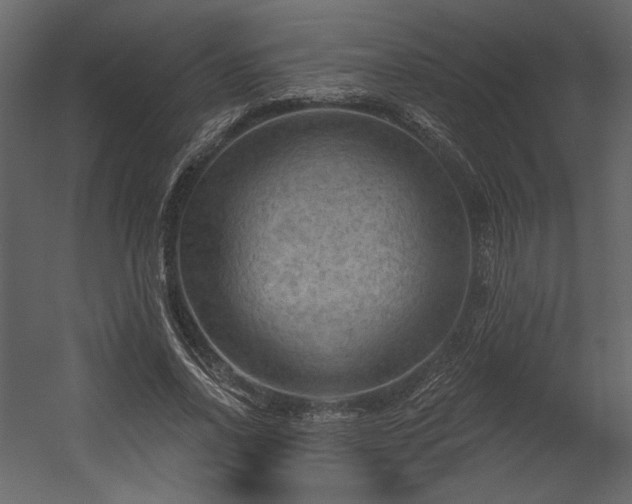 X0000054400734200508011322