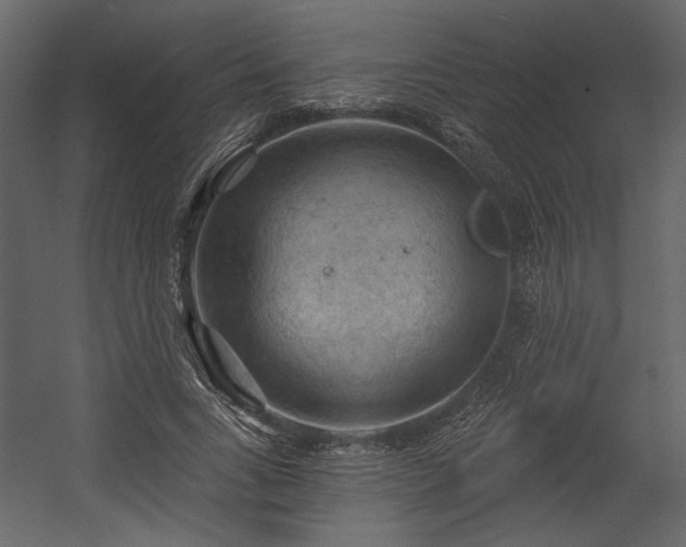 X0000054400735200508011322