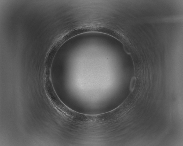 X0000054400736200508011322