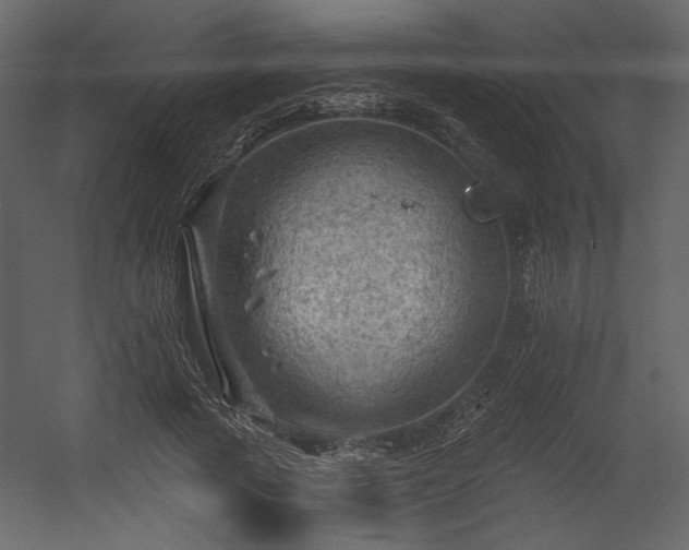 X0000054400737200508011322