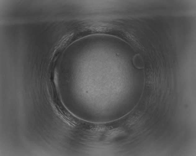 X0000054400738200508011322