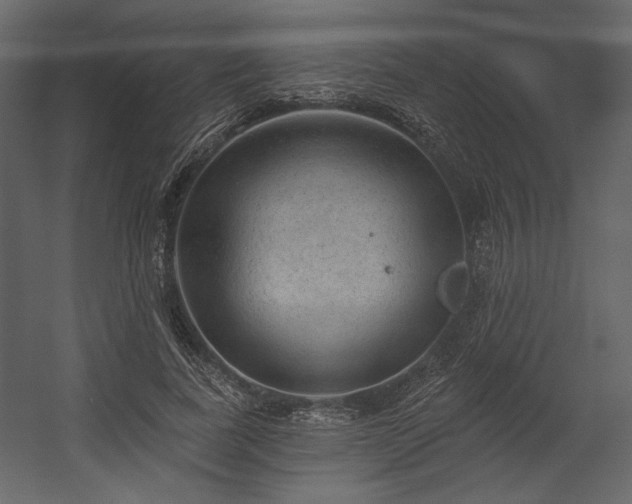 X0000054400739200508011322