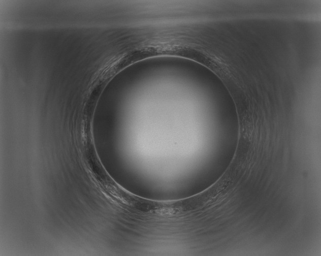 X0000054400740200508011322