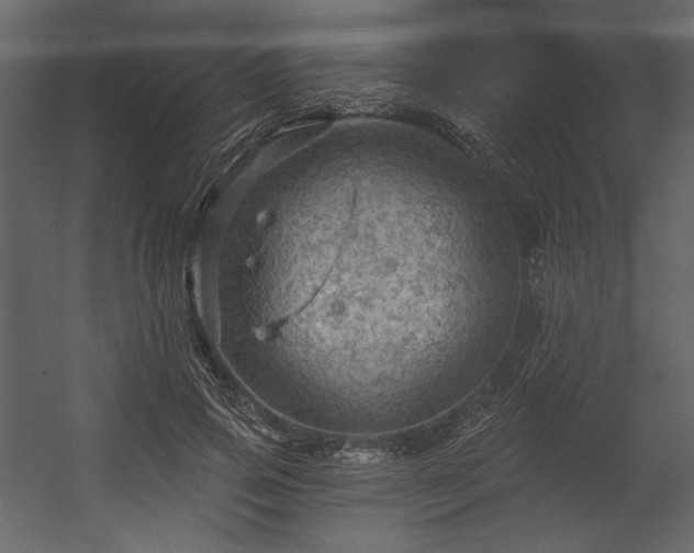 X0000054400741200508011322