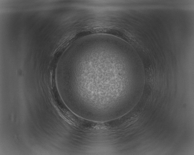 X0000054400742200508011322