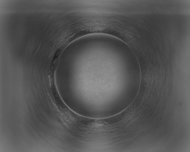 X0000054400743200508011322