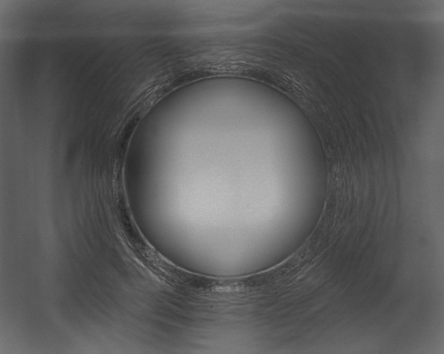 X0000054400744200508011322