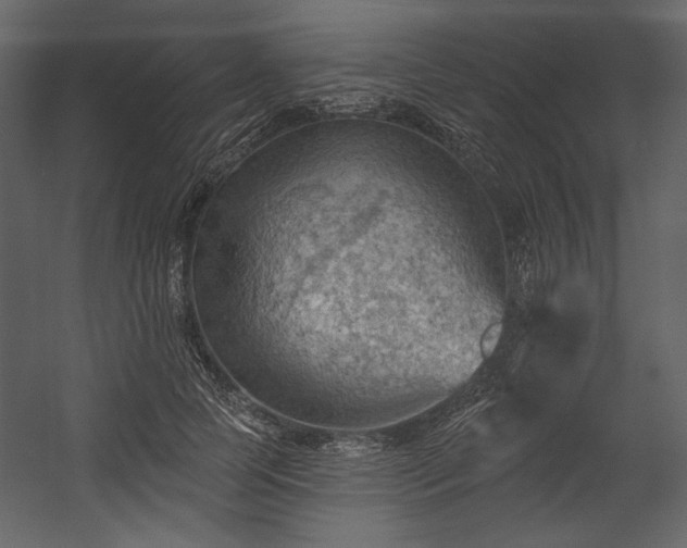 X0000054400745200508011322