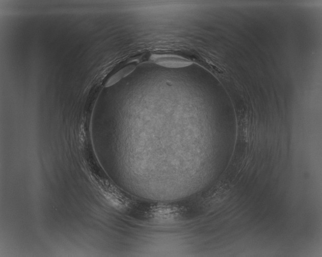 X0000054400746200508011322