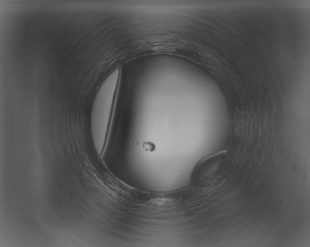 X0000054400748200508011322