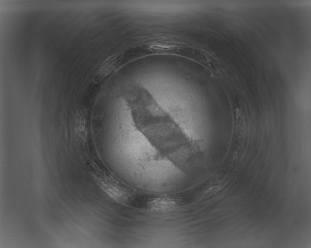 X0000054400749200508011322