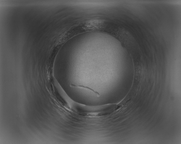 X0000054400751200508011322