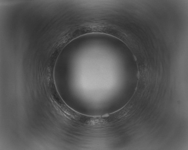 X0000054400752200508011322