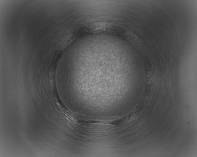 X0000054400753200508011322