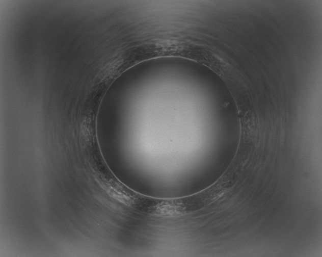 X0000054400756200508011322