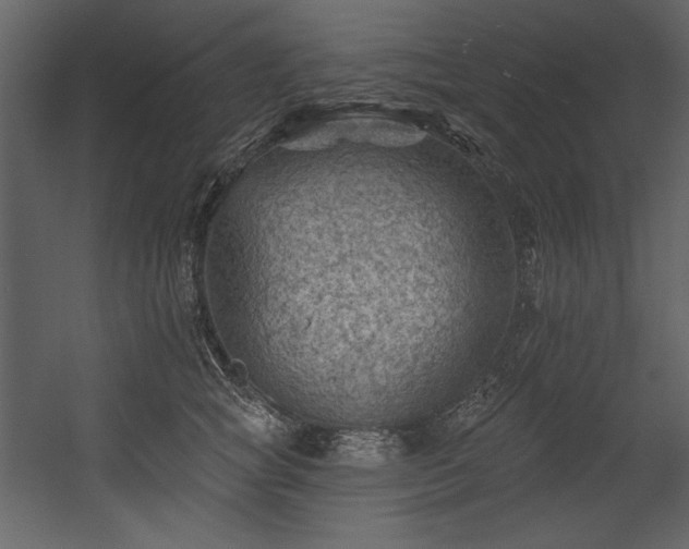 X0000054400757200508011322