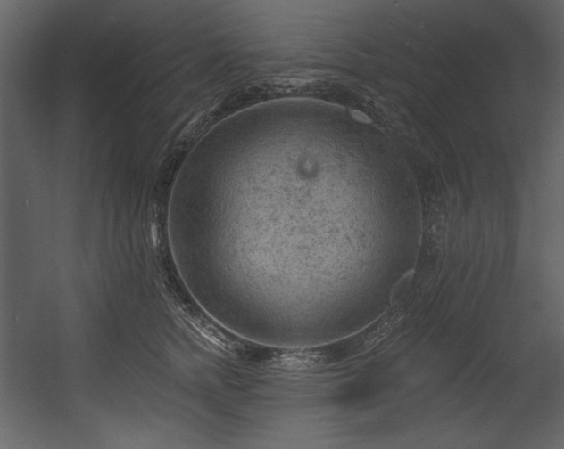 X0000054400758200508011322