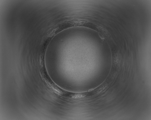 X0000054400759200508011322