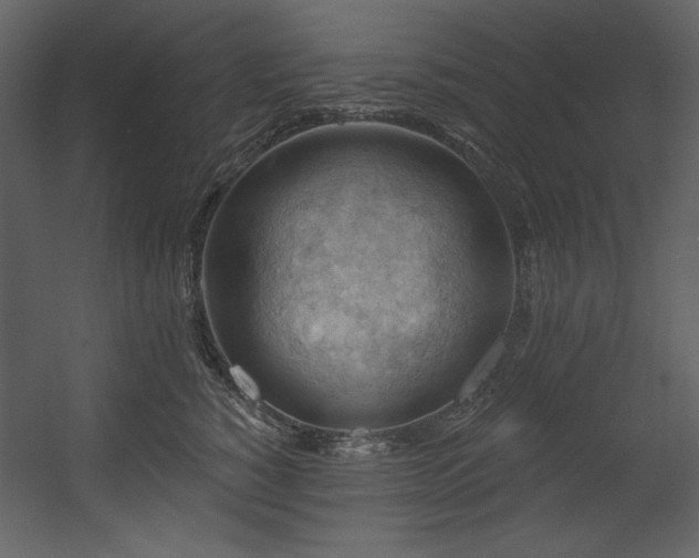 X0000054400760200508011322