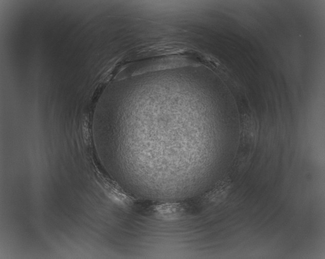 X0000054400761200508011322