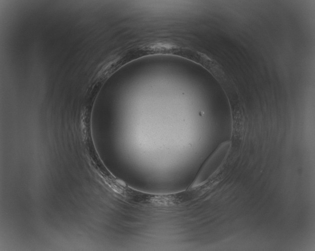 X0000054400762200508011322