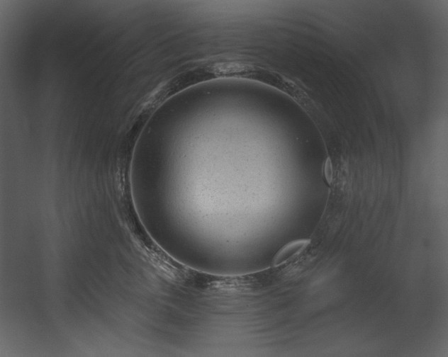 X0000054400763200508011322