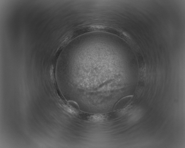 X0000054400765200508011322