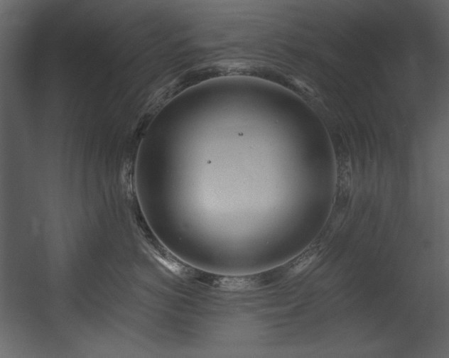 X0000054400766200508011322