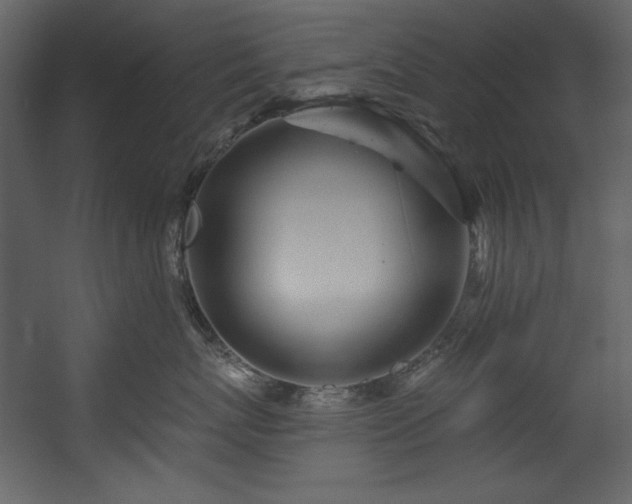 X0000054400767200508011322