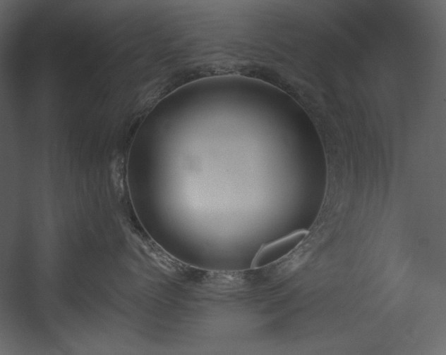 X0000054400768200508011322