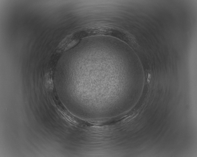 X0000054400771200508011321