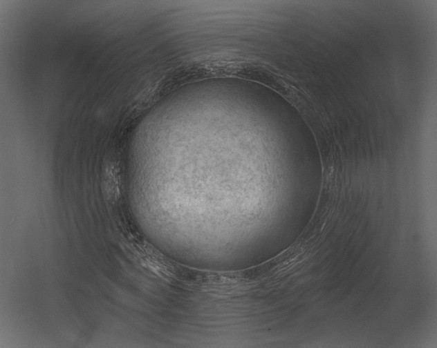 X0000054400772200508011321