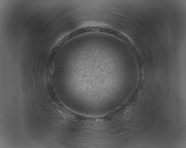 X0000054400775200508011321