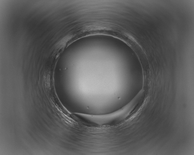 X0000054400777200508011321