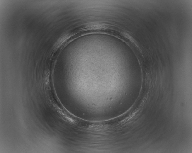 X0000054400778200508011321