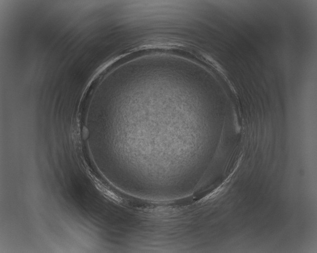 X0000054400779200508011321