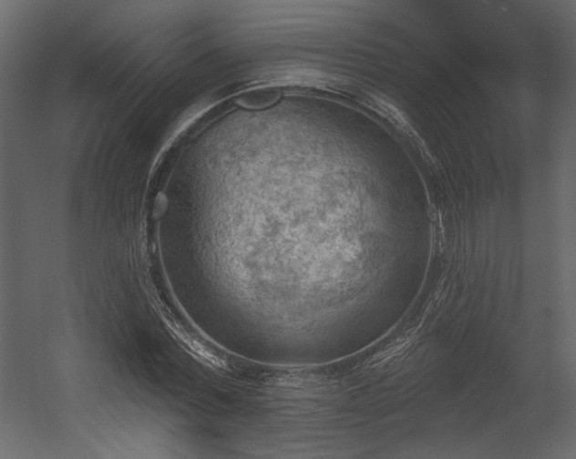 X0000054400780200508011321