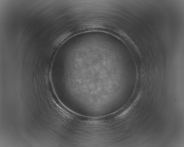 X0000054400785200508011321