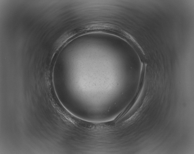 X0000054400786200508011321