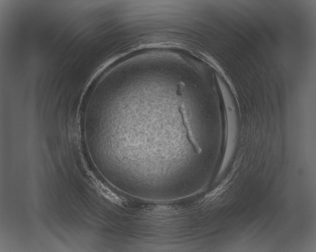 X0000054400787200508011321