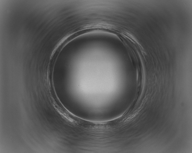 X0000054400788200508011321