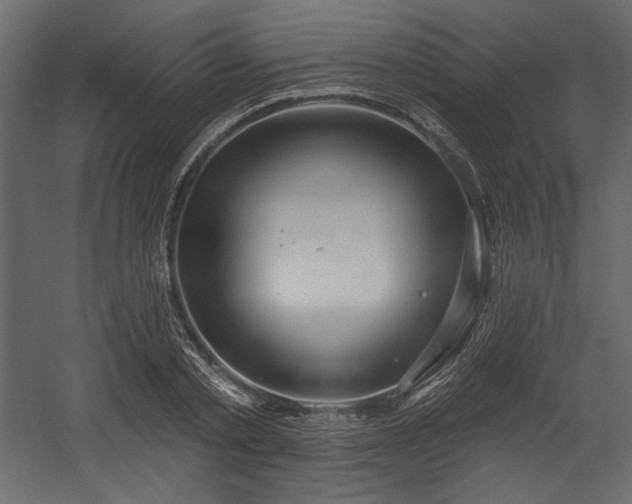 X0000054400789200508011321